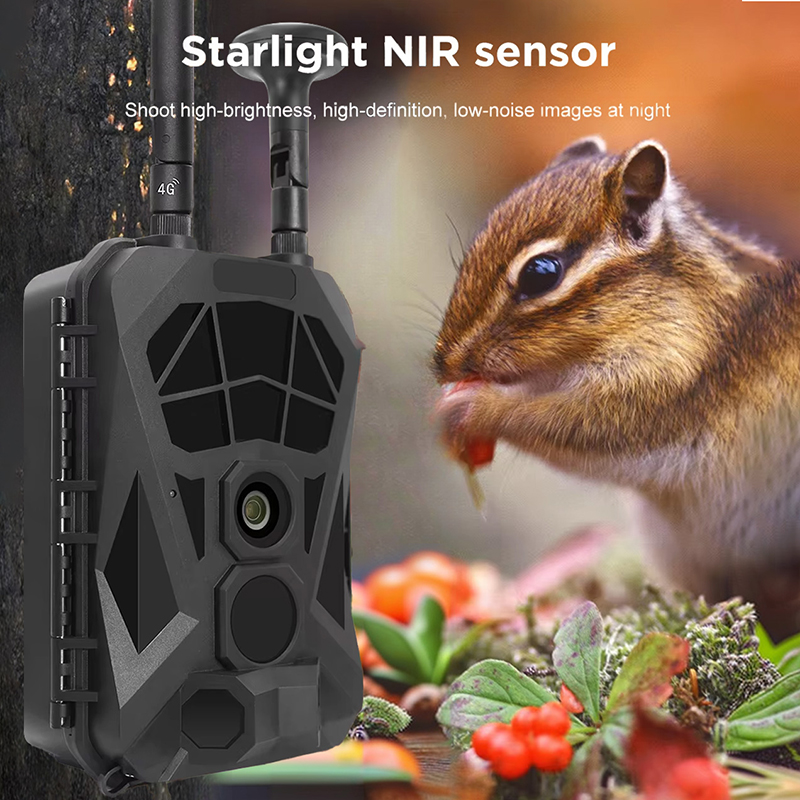 Outdoor Hunting Camera Wireless - 무선 적외선 장거리 야외 야생 동물