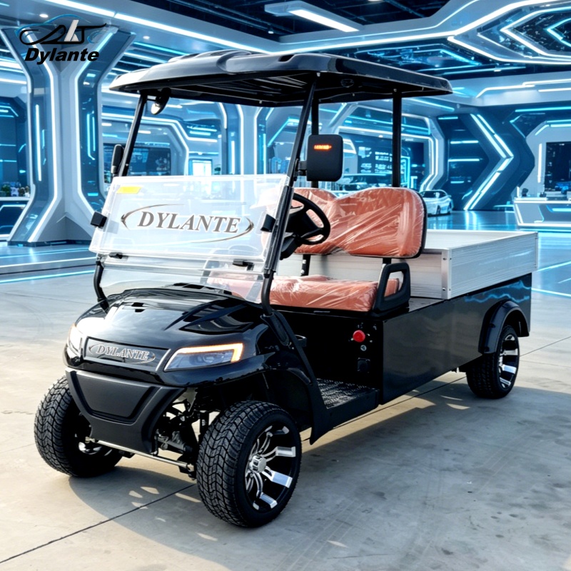 공장 직판 전기 골프 카트 태양광 60V 2인승 5KW - Outdoor Hunting Vehicle 리뷰 및 가격