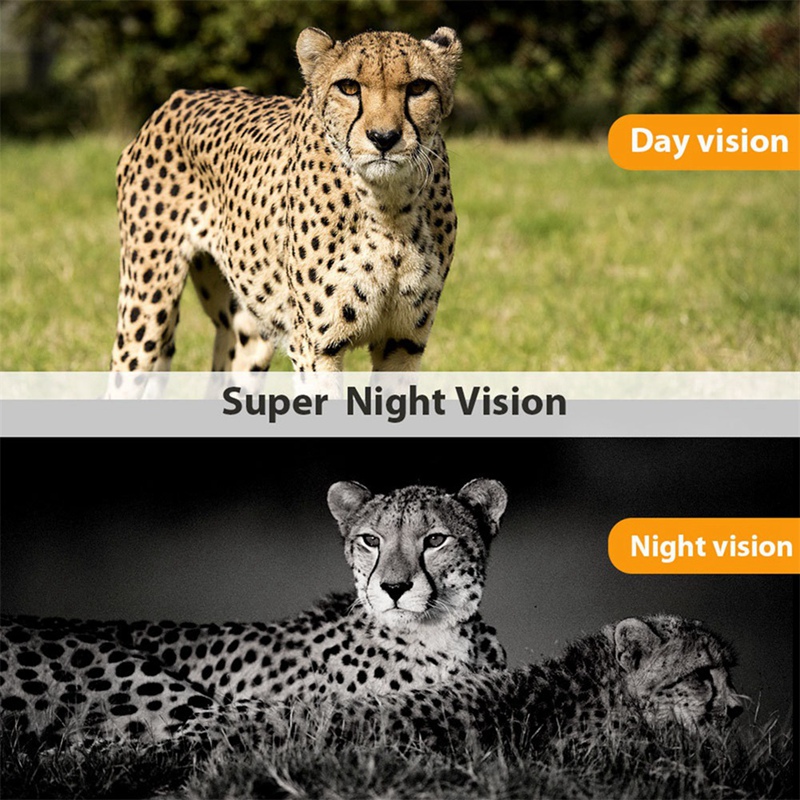 -801A 4K UHD 36MP 4G LTE 야간 투시 - Outdoor Hunting Camera Wireless 리뷰 및 가격