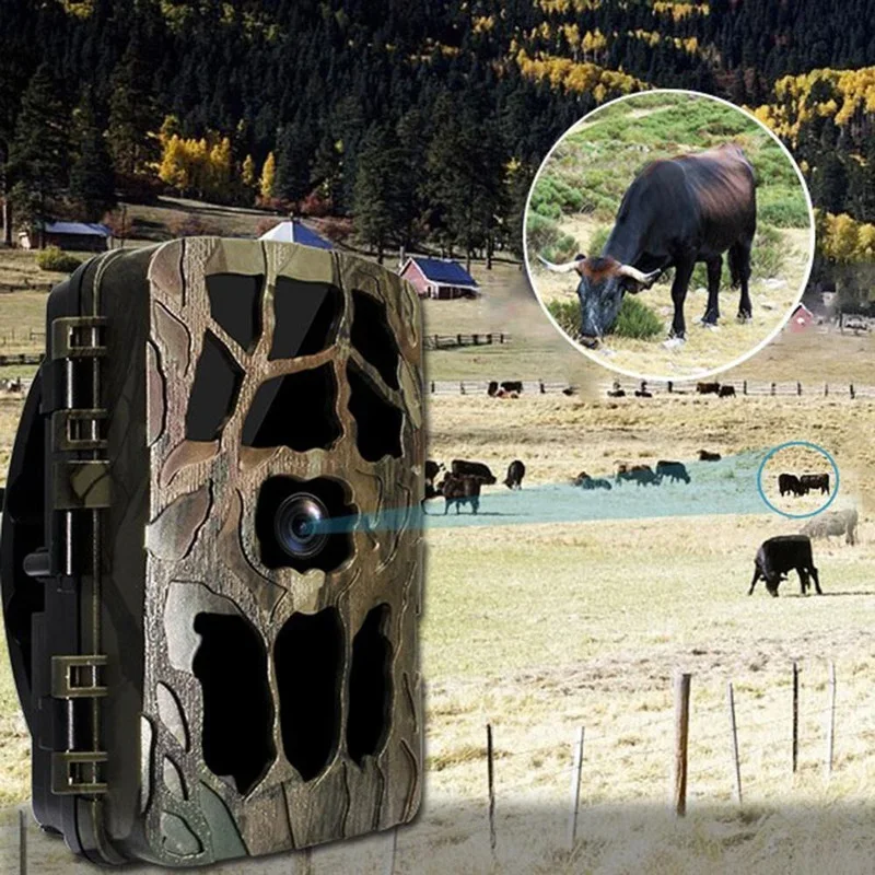 H982 IP66 방수 4K 야외 적외선 1080P 나 - Outdoor Hunting Camera Wireless 리뷰 및 가격