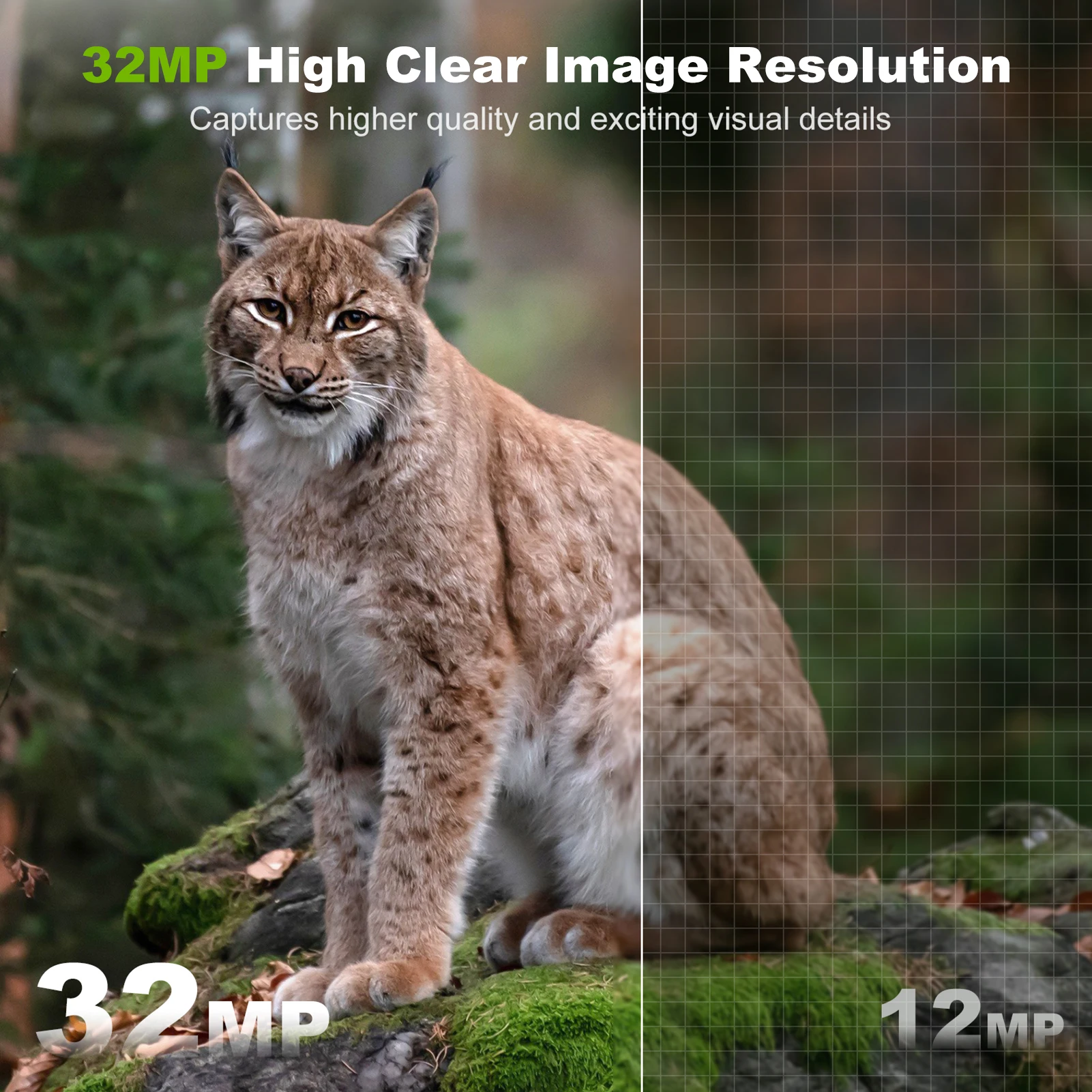 태양 광 카메라 야외 무선 트레일 카메라 32MP 적외 - Outdoor Hunting Camera Wireless 리뷰 및 가격