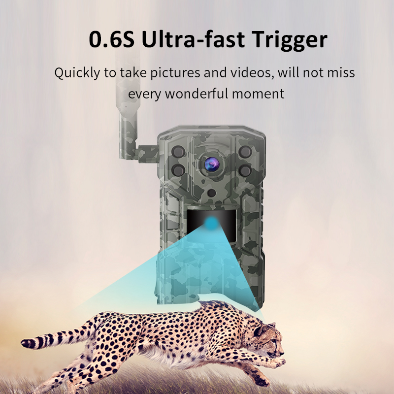 2K 지원 태양광 리튬 배터리 야외용 4G 사냥 카메라 - Outdoor Hunting Camera Wireless 리뷰 및 가격